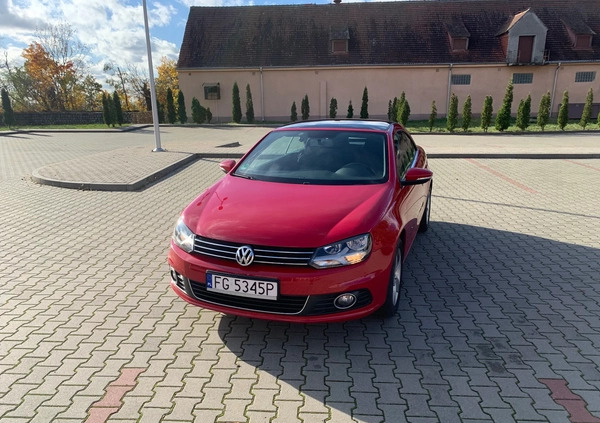 Volkswagen Eos cena 41999 przebieg: 182000, rok produkcji 2012 z Stalowa Wola małe 254